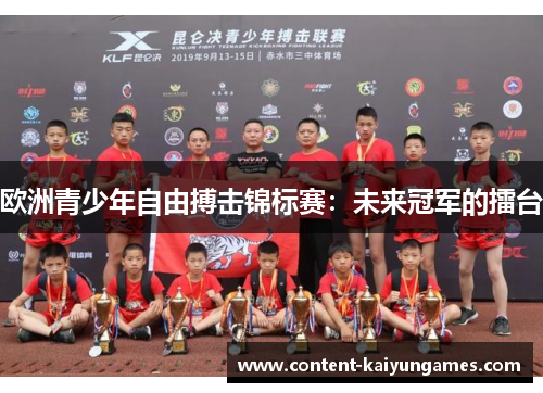 欧洲青少年自由搏击锦标赛：未来冠军的擂台