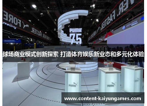 球场商业模式创新探索 打造体育娱乐新业态和多元化体验
