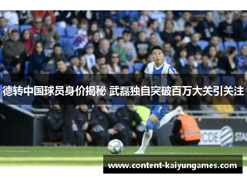 德转中国球员身价揭秘 武磊独自突破百万大关引关注