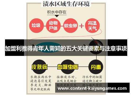 加盟利雅得青年人需知的五大关键要素与注意事项