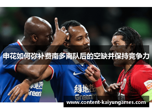 申花如何弥补费南多离队后的空缺并保持竞争力