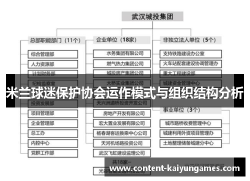 米兰球迷保护协会运作模式与组织结构分析